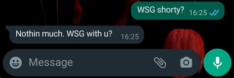 WSG Meaning in Text, and How to Use It in Text Messages